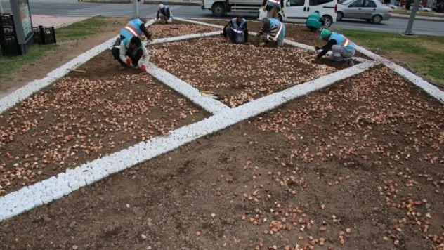 Elazığ Belediyesi, Rengarenk Bir Bahar İçin Çalışmalara Başladı