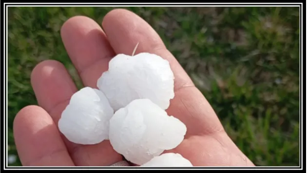 Elazığ'da Ceviz Büyüklüğünde Dolu
