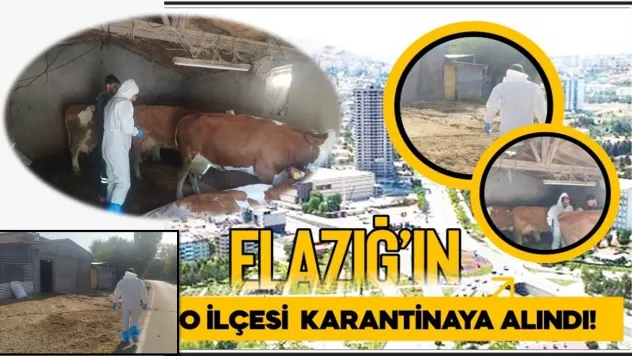 Elazığ'ın O İlçesi  Karantinaya Alındı!