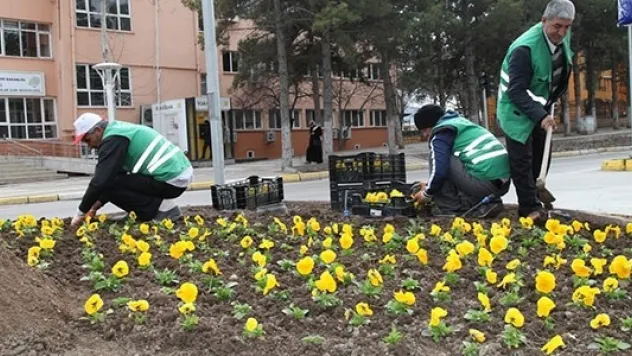 ELAZIĞ RENKLENİYOR.