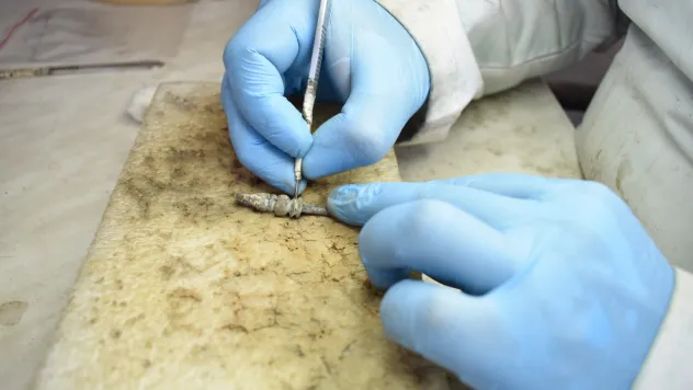 Urartu Dönemi Metal Eserler Elazığ'da Geleceğe Taşınıyor