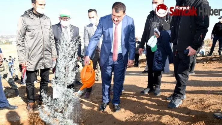 150 Bin Fidan Toprakla Buluştu