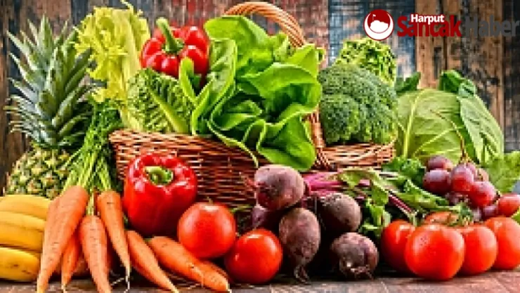 20 Ürünün İhracatına Dönemsel Düzenleme Yetkisi