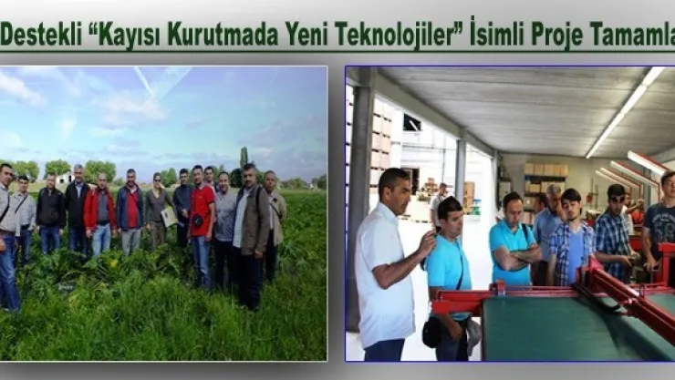 AB Destekli ''Kayısı Kurutmada Yeni Teknolojiler'' İsimli Proje Tamamlandı