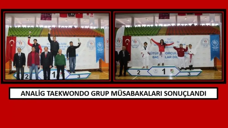 ANALİG TAEKWONDO GRUP MÜSABAKALARI SONUÇLANDI.