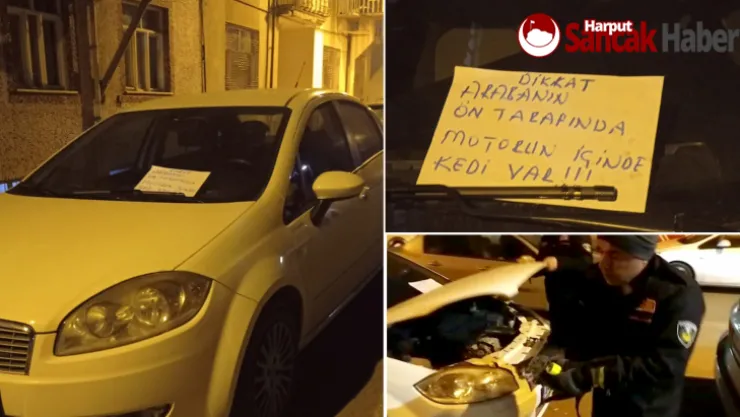 Araç Motoruna Sıkışan Kedi, Büyükşehir İtfaiye Ekipleri Tarafından Kurtarıldı