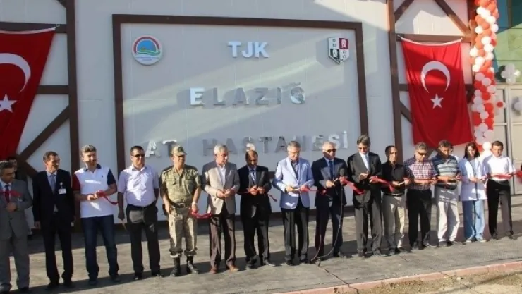 At Hastanesi Hizmete Girdi