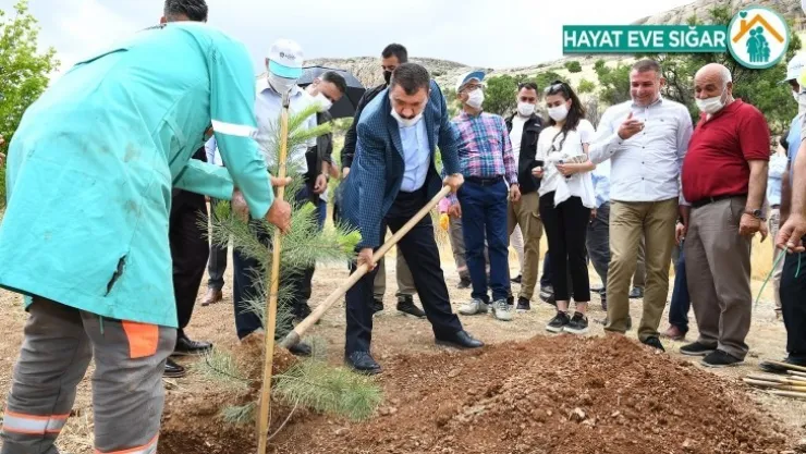 'Babalar Günü Hatıra Ormanı'nda Fidanlar Toprakla Buluştu