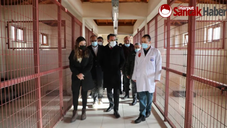 Başkan Şerifoğulları'ndan Geçici Hayvan Bakımevi Ziyareti
