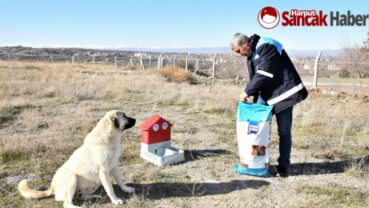 Battalgazi'de Can Dostlar İçin 19 Yeni Besleme Noktası