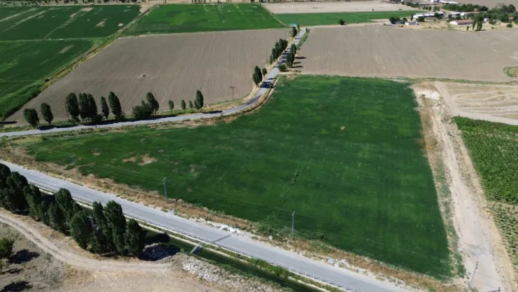 Battalgazi'de Yerli Üretimle Yeşil Alan Seferberliği