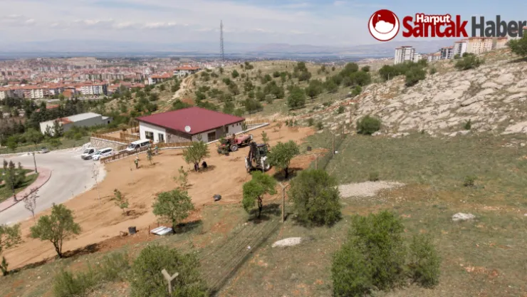 Beydağı Tabiat Parkında Çalışmalar Devam Ediyor