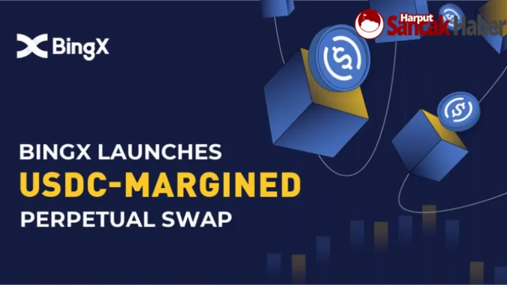 Bingx, Kullanıcıları İçin USDC Marjlı Perpetual Swap Sunuyor
