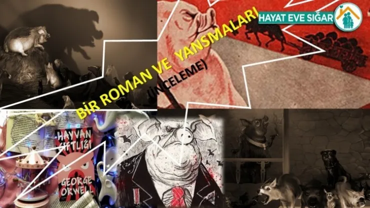 Bir Roman ve  Yansımaları