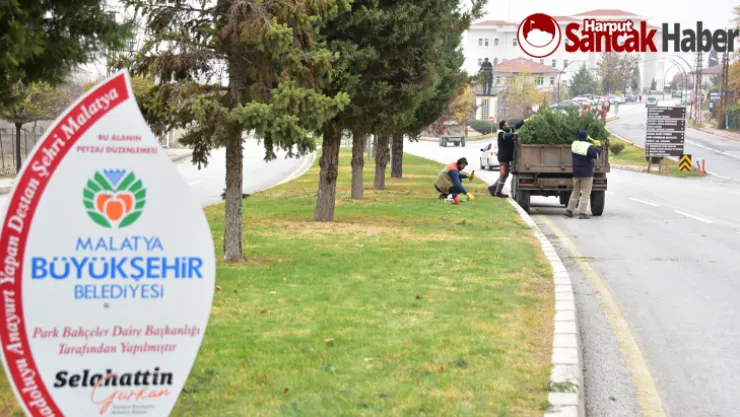 Budama ve Form Çalışmaları Aralıksız Devam Ediyor