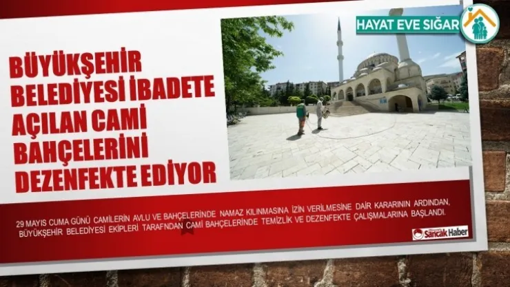 Büyükşehir Belediyesi İbadete Açılan Cami Bahçelerini Dezenfekte Ediyor