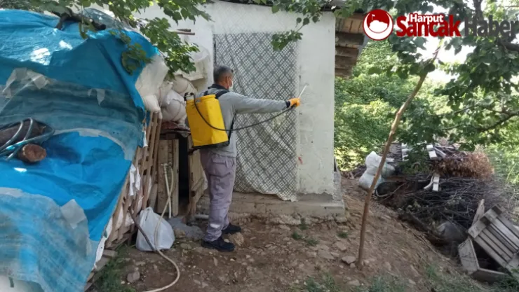 Büyükşehir Belediyesi İlaçlama Çalışmalarına Devam Ediyor