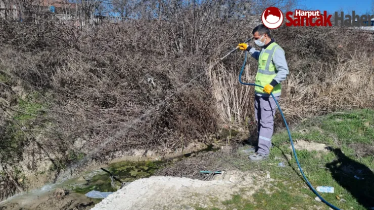 Büyükşehir Belediyesi İlaçlama Çalışmalarına Hız Verdi