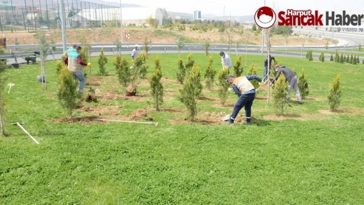Büyükşehir Belediyesi Parkları ve Refüjleri Yenileniyor