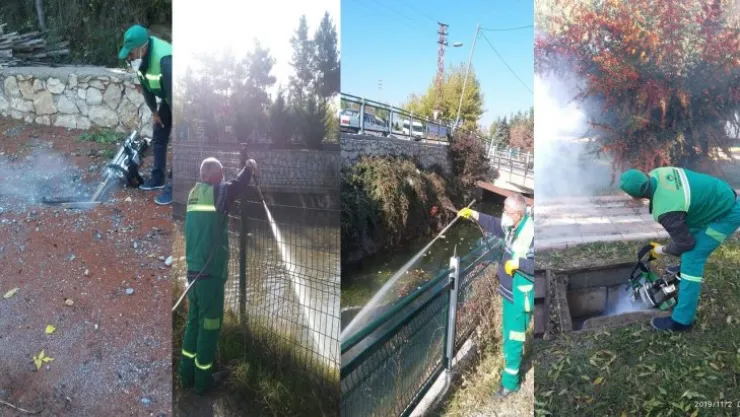 Büyükşehir Belediyesinden Kışlak Mücadelesi Çalışmaları