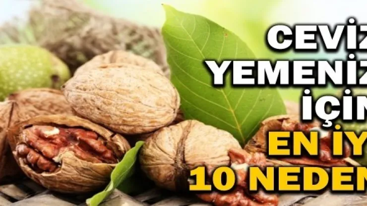 Ceviz Yemeniz İçin En İyi 10 Neden