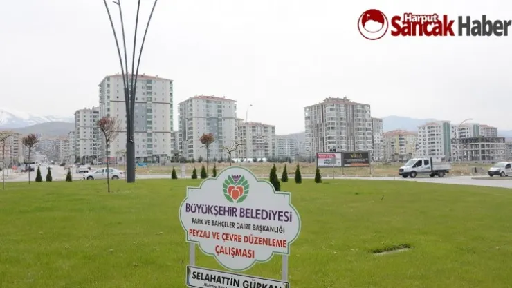 Çiftlik Caddesi Dikilen Fidanlarla Yeşillendi