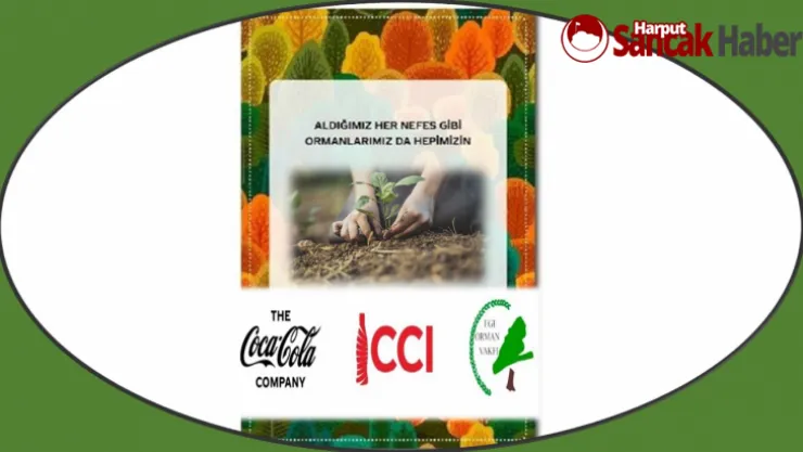 Coca-Cola Türkiye'den 50 bin fidanlık orman