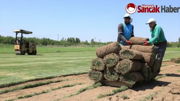Daha Yeşil Bir Battalgazi'nin Çalışmaları Sürüyor