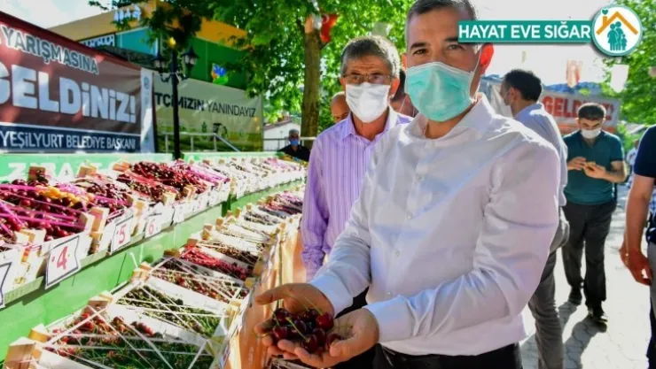 Dalbastı Kirazımız Yeşilyurt'un En Önemli Simgesidir