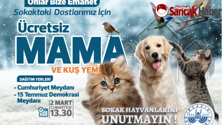 Elazığ Belediyesi Ücretsiz Mama ve Kuş Yemi Dağıtacak