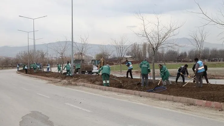 Elazığ Belediyesi'nden Bitki Dikim Çalışmaları