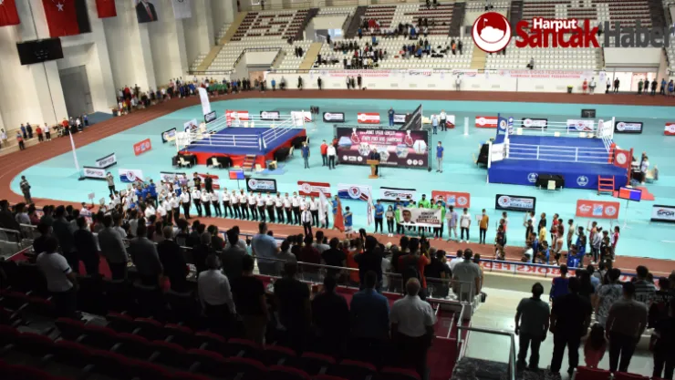 Elazığ Belediyespor Boks Takımında 3 Boksörümüz Çeyrek Finale Yükseldi