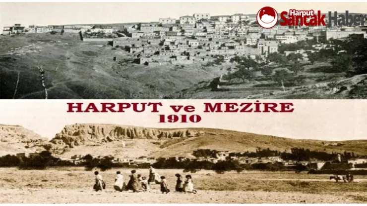 Elazığ'da ki Zeytinliklere Ne Oldu?