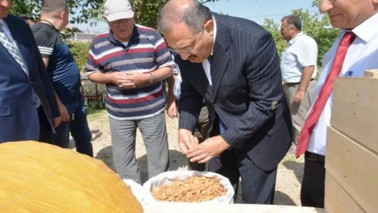 Vali Kaban, Önemli Olan Ürettiğimiz Ürünün Kalitesi ve Ekonomik Değeridir