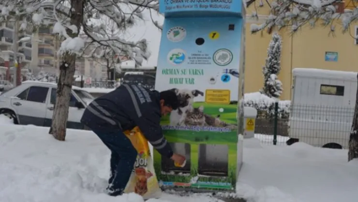 Yeşilyurt Belediyesi, Sokak Hayvanları Ve Kuşlar İçin Doğaya Yem Bıraktı 