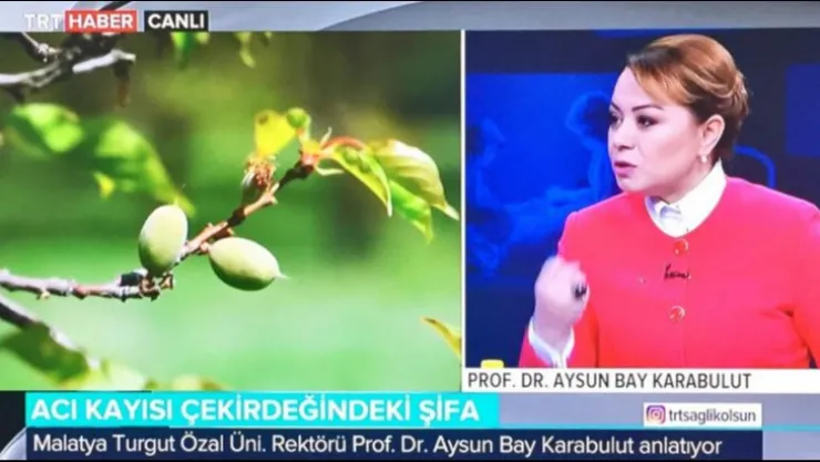 Karabulut: 'Anadolu tıbbını modern bilimin ışığında geliştireceğiz'
