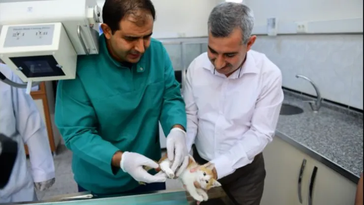 Örnek Yatırımlarla Doğanın Sevimli Canlılarını Sahipleniyoruz