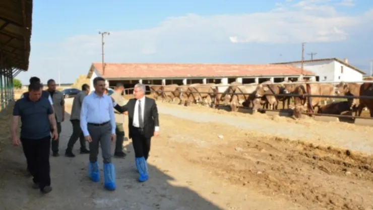 Vali Baruş Tigem'de İncelemelerde Bulundu