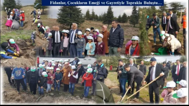 Fidanlar, Çocukların Emeği ve Gayretiyle Toprakla Buluştu…