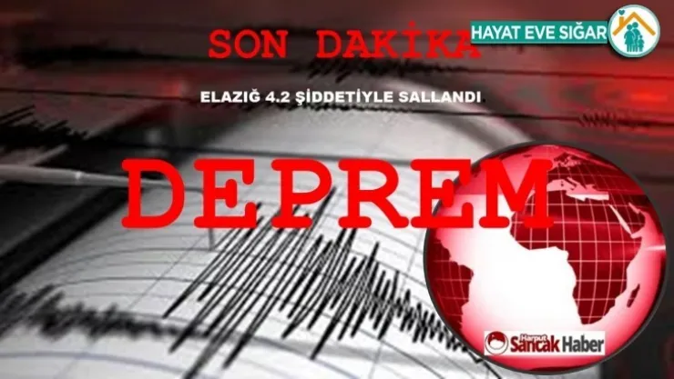Elazığ'da Korkutan Deprem