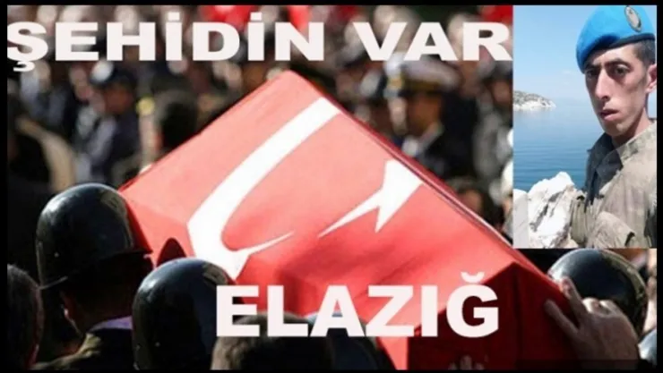 Elazığlı Asker Şehit Oldu