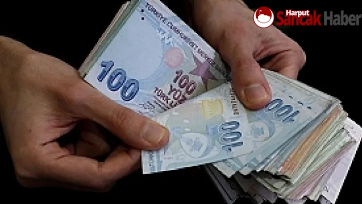 Engelli Maaşı 1298 TL Oldu