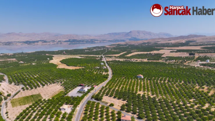 Eski Malatya, Yarımcahan, Ağılyazı, Kuluşağı Grup Yolu'nda Çalışmalar Devam Ediyor