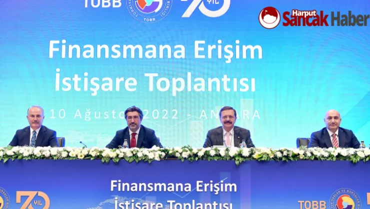 Finansmana Erişim İstişare Toplantısı