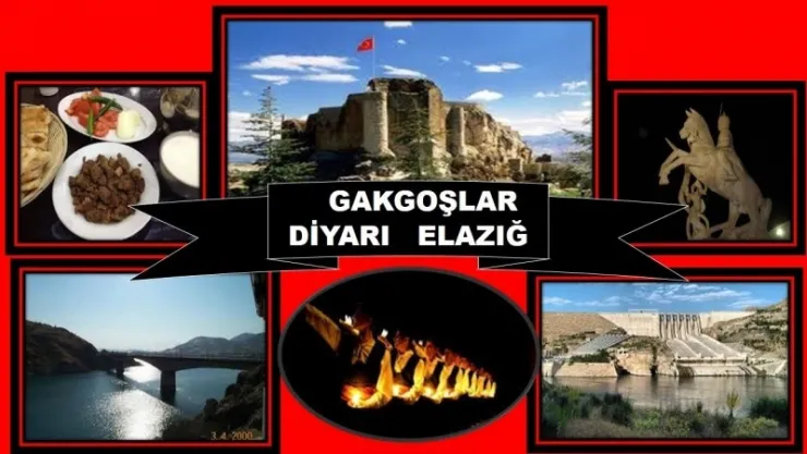 Gakgoşlar Diyarı Elazığ