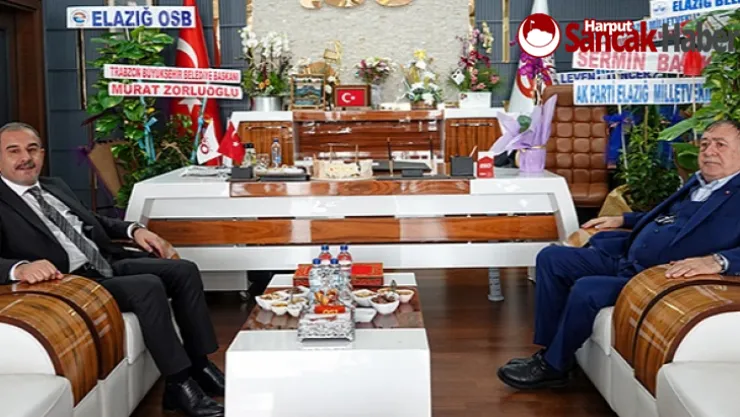 (GTİ) Yönetim Kurulu Başkanı Parmaksız, Başkan Alan'ı Ziyaret Etti