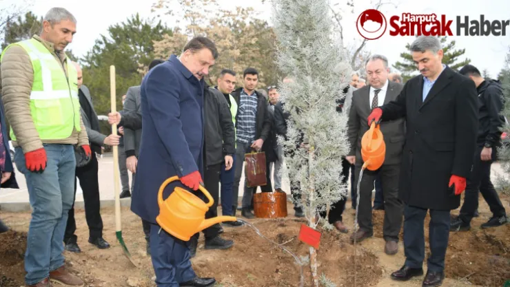 GÜRKAN: Ağacın Toplum, İnsan Ve Dünya Hayatında Önemi Çok Büyüktür