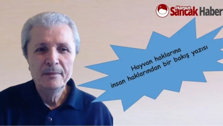 Hayvan Hakları