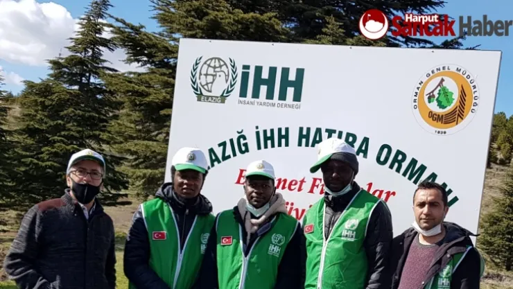İHH'nın Fidanları Toprakla Buluştu
