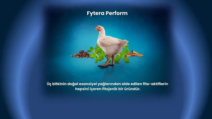 Kanatlı Hayvanlar İçin İnovatif Ürün